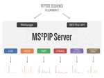 Updated MS²PIP web server delivers fast and accurate MS² peak intensity prediction for multiple fragmentation methods, instruments and labeling techniques